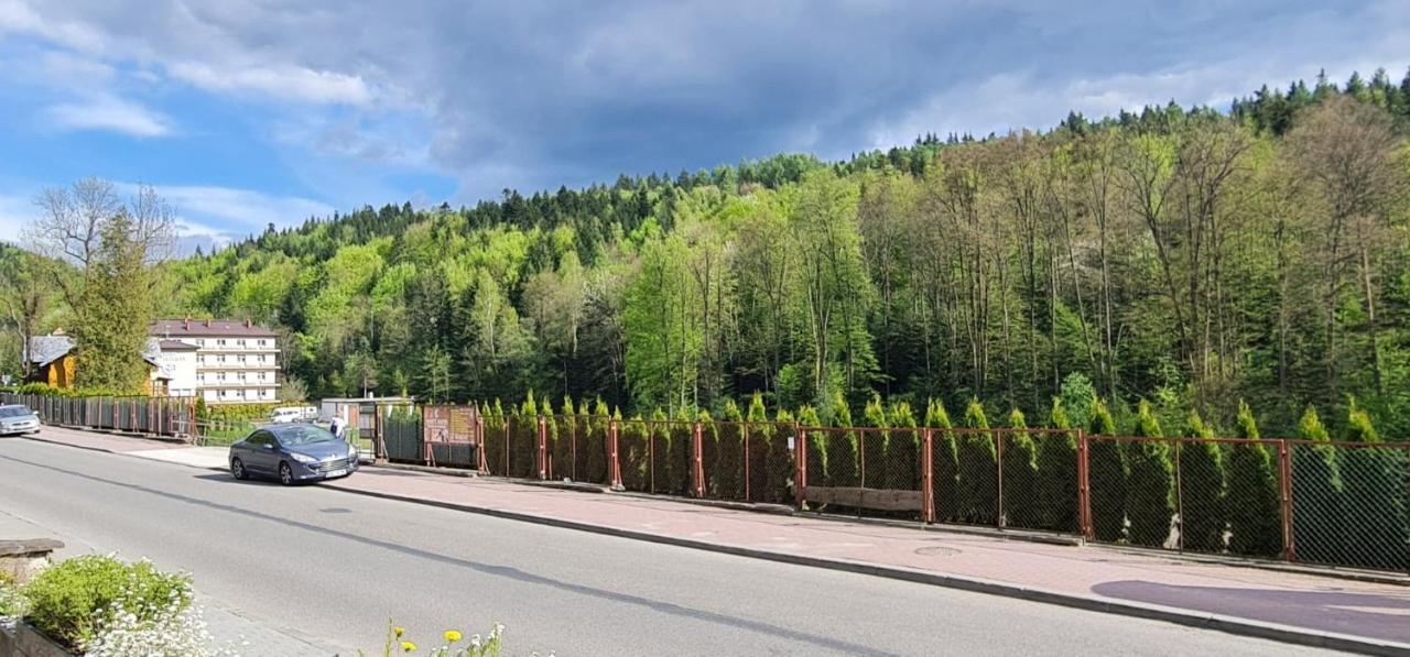 Kasztelanka * Krynica Zdroj
